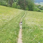 Romantik Na Hrinovskych Lazoch Шале *