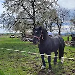 Romantik Na Hrinovskych Lazoch Hrinova