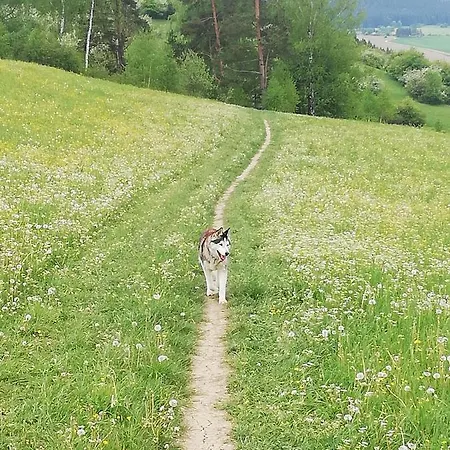 Romantik Na Hrinovskych Lazoch 木屋 *