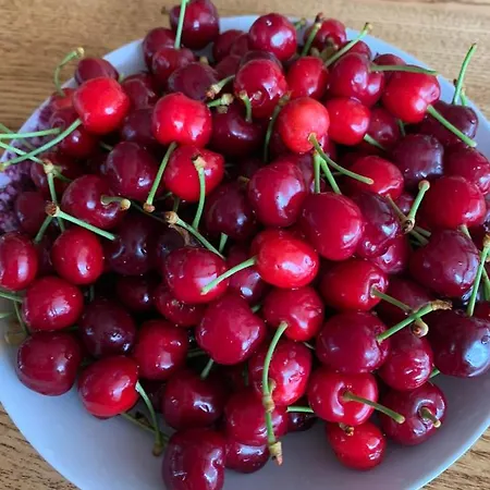 Chalet Romantik Na Hrinovskych Lazoch Hrinova