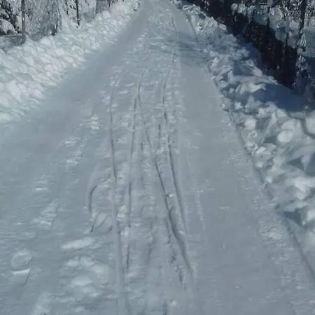 Romantik Na Hrinovskych Lazoch Chalet *