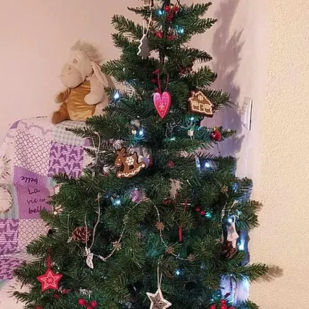 Romantik Na Hrinovskych Lazoch *