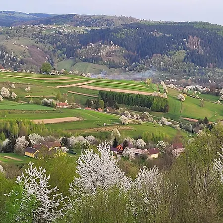 Romantik Na Hrinovskych Lazoch 木屋