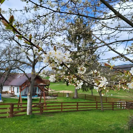 Romantik Na Hrinovskych Lazoch * Hriňová