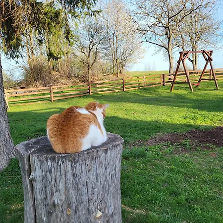 木屋 Romantik Na Hrinovskych Lazoch Hriňová