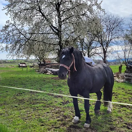 Romantik Na Hrinovskych Lazoch Hrinova